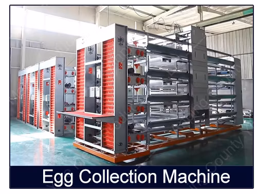 Poultry Layer Chicken Cages Coop Battery Walk Single Mesh Wire Door Enclosure