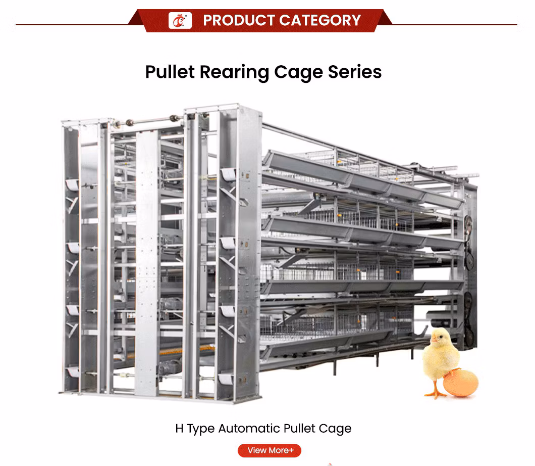 Bestchickencage a Type Pullet Coop Cage Breeder Cage China Hen House Coop Supplier OEM Customized Silver/White/Yellow Pyramid Chicken Pullet Cage