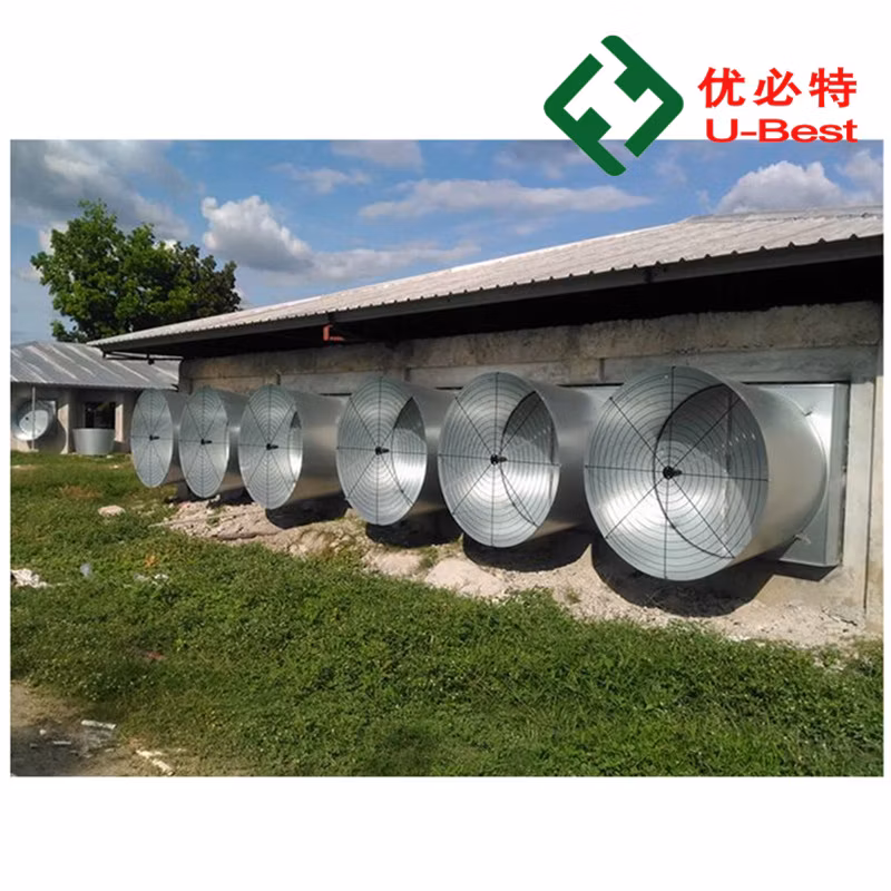 Gold Supplier Low Price Poultry Farm Equipment for Broiler