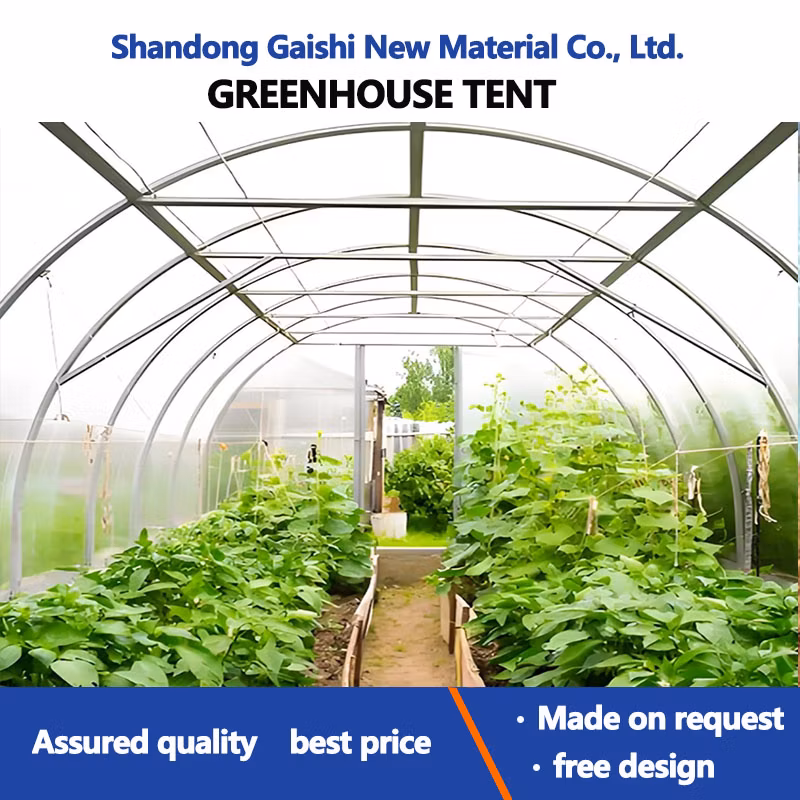 Heavy Commercial Greenhouse 4 Season for Agricultural Blueberry Strawberry Farming Tunnel Greenhouse