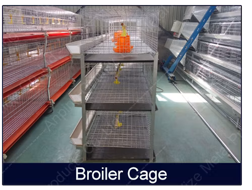 Poultry Layer Chicken Cages Coop Battery Walk Single Mesh Wire Door Enclosure