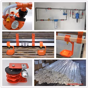 Gold Supplier Low Price Poultry Farm Equipment for Broiler