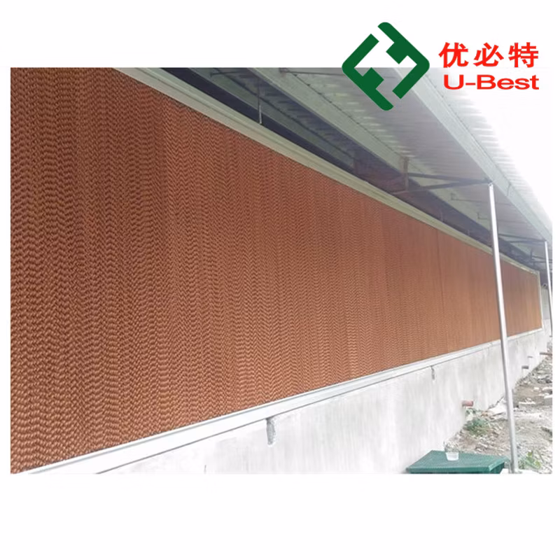 Gold Supplier Low Price Poultry Farm Equipment for Broiler