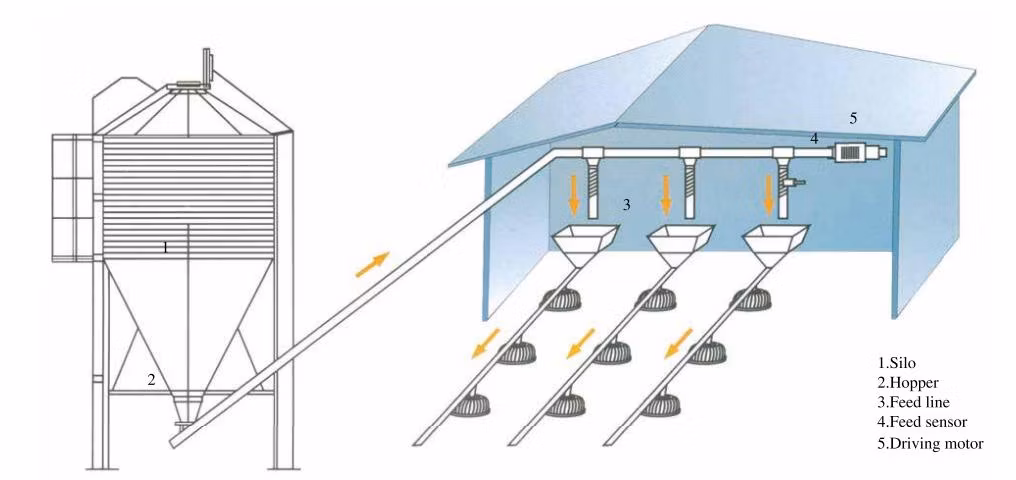 Gold Supplier Low Price Poultry Farm Equipment for Broiler