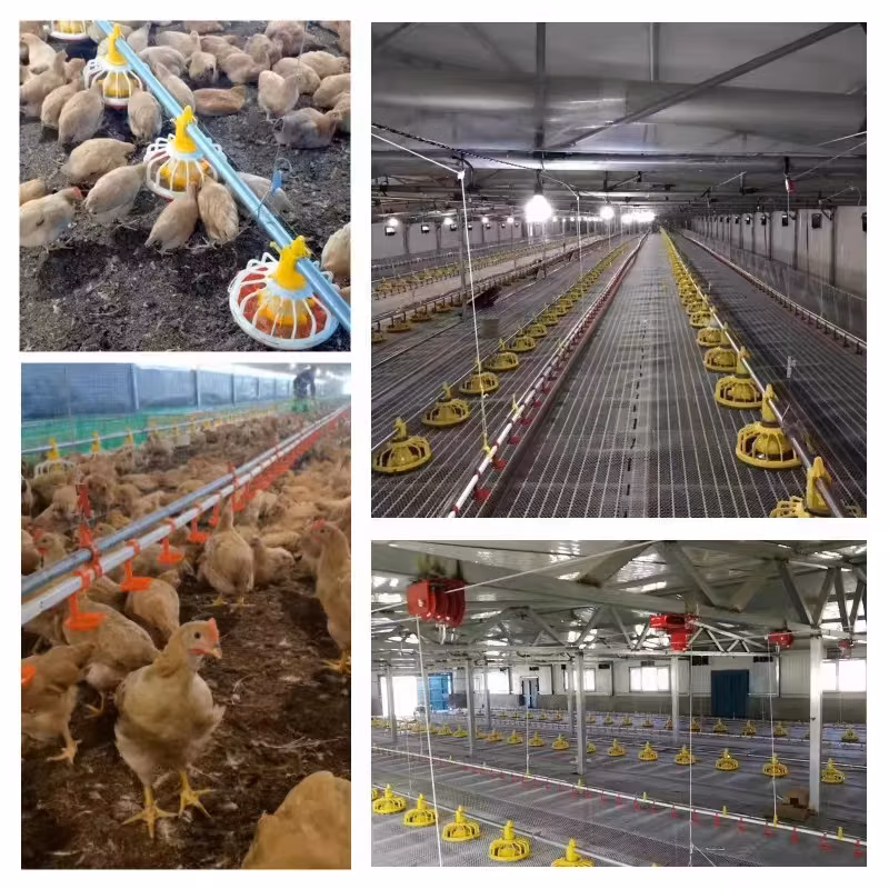 Good Quality Poultry Farming Equipment Feeding Pan System for Broiler