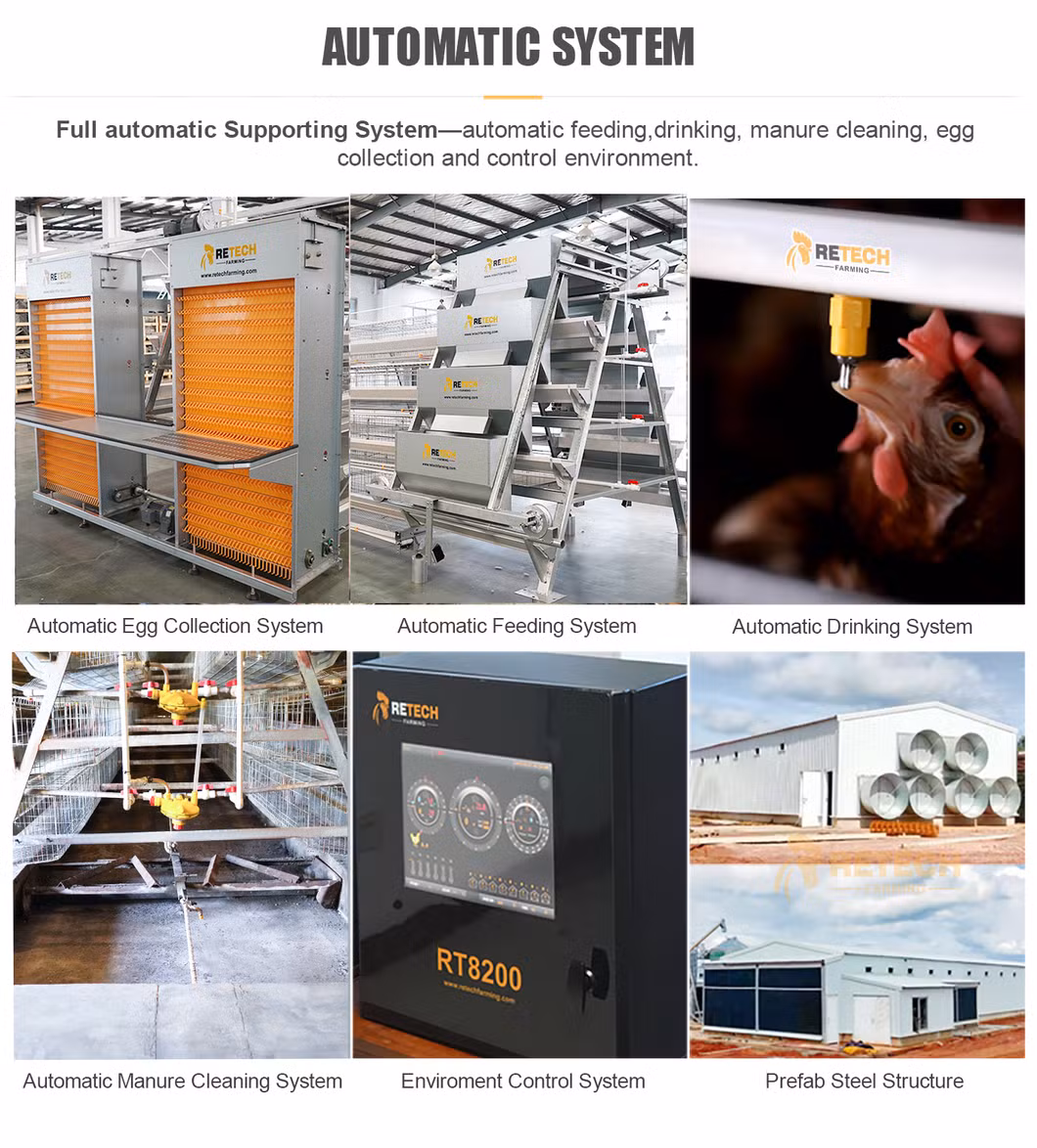 Factory Price Hot Sale Automatic Egg Laying Hens Battery Poultry Farm Layer Broiler Chicken Cage