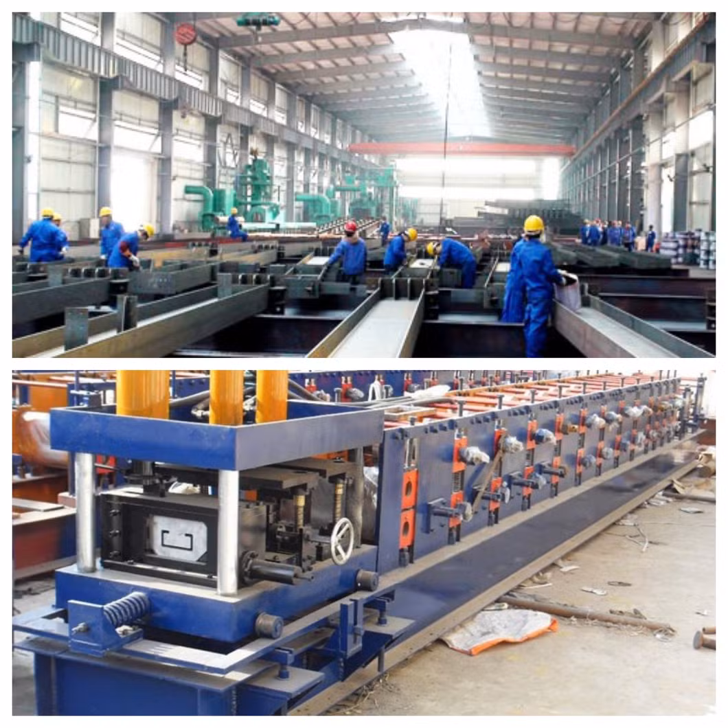 China Factory Supply Steel Frame Chicken Shed/House Building Prefab Poultry Farm Construction