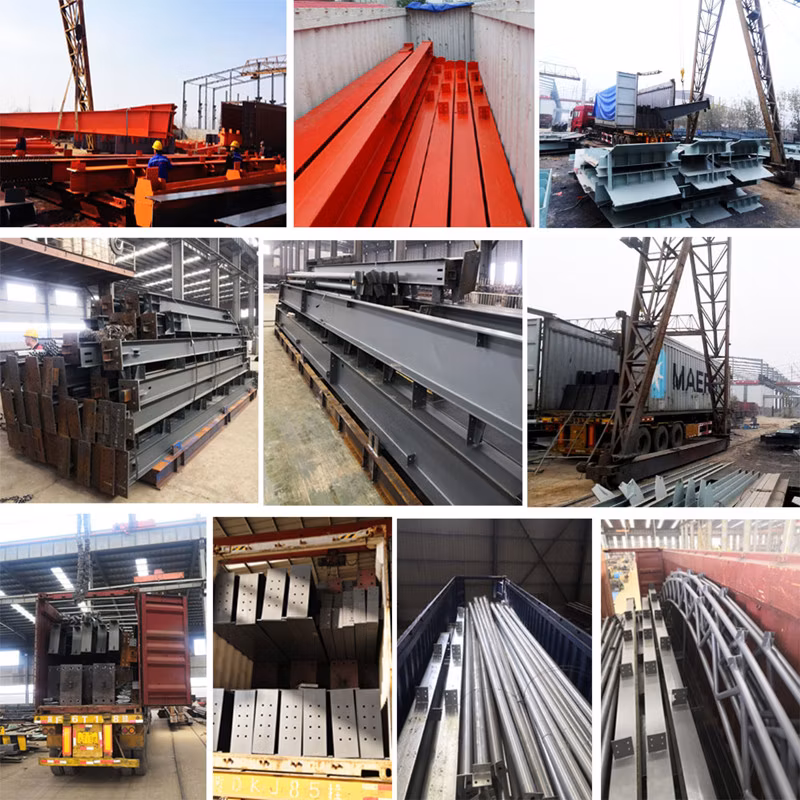 China Factory Supply Steel Frame Chicken Shed/House Building Prefab Poultry Farm Construction