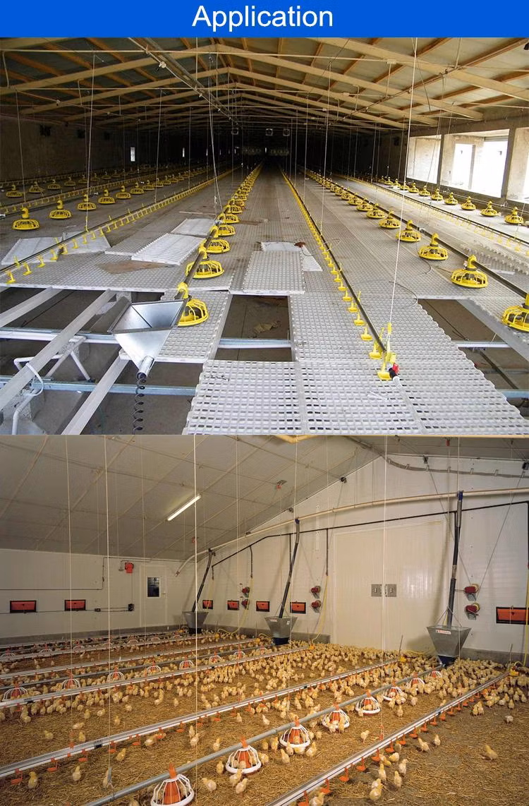 Good Quality Poultry Farming Equipment Feeding Pan System for Broiler