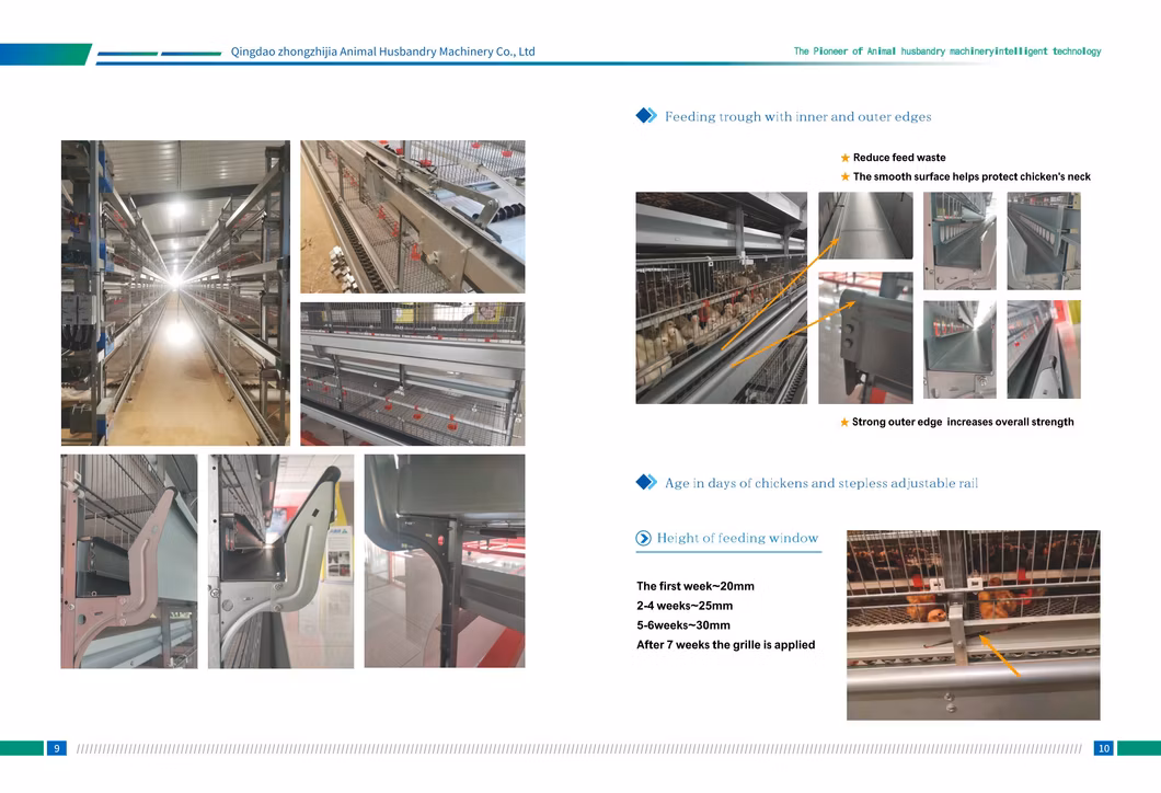 Factory Farming Equipment Chicken Cage Poultry Farm Chicken Battery Cage Broiler Battery Cage and Automatic Breeding System
