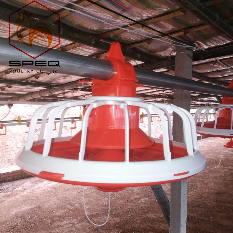 Good Quality Poultry Farming Equipment Feeding Pan System for Broiler