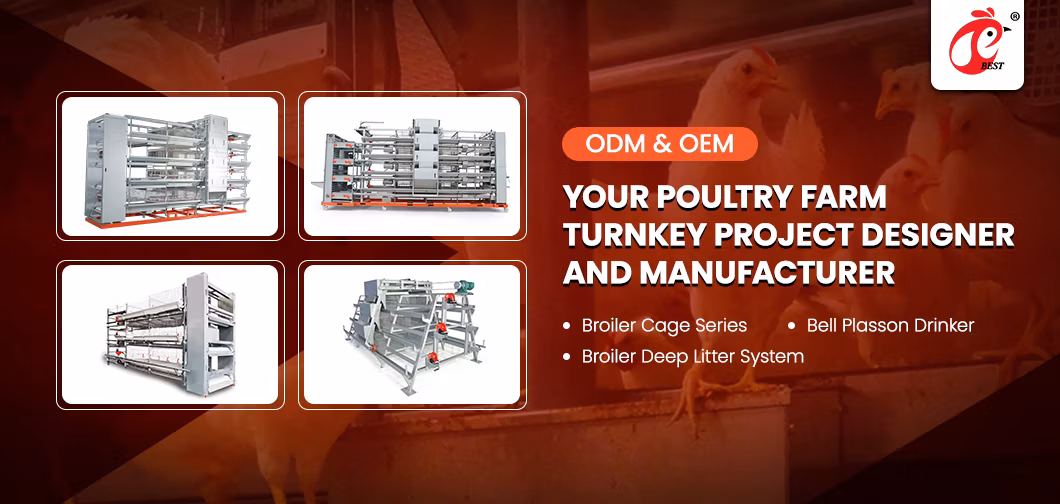 Bestchickencage Manure Removal System China Cage System Poultry Manure Cleaning Scraper Supplier Customized Environment Friendly Manure Removal System Equipment