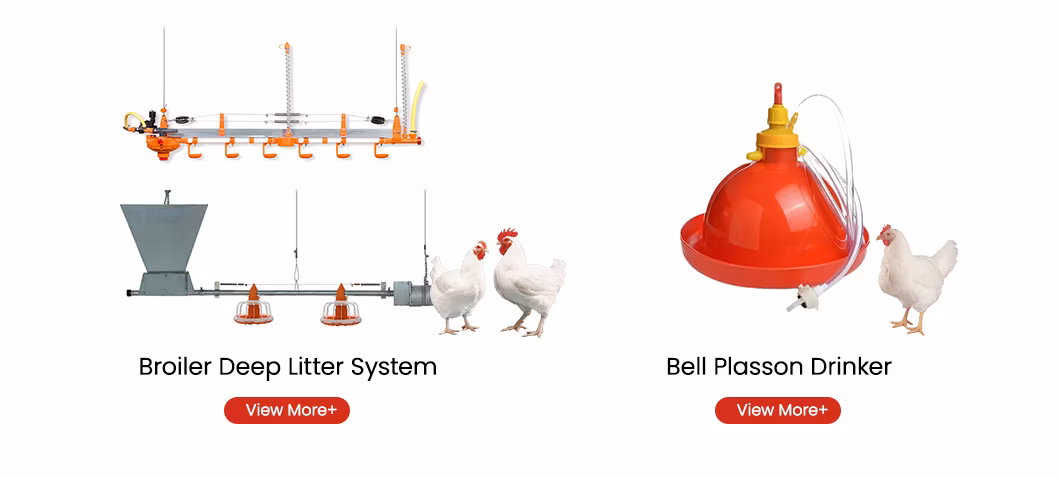 Bestchickencage Manure Removal System China Cage System Poultry Manure Cleaning Scraper Supplier Customized Environment Friendly Manure Removal System Equipment