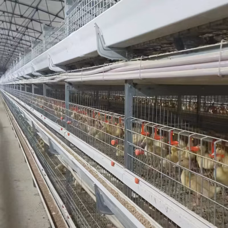 Customized Wholesale Galvanized Steel Wire Stainless Steel 3/4/5 Layer Chicken Duck Cage Farm Poultry Equipment