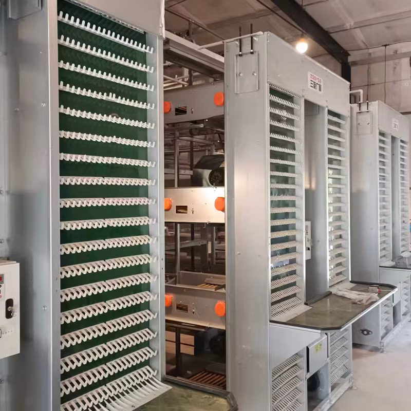 Automatic Farm Poultry Breeding Equipment Egg Chicken Cages with Feeding Systems