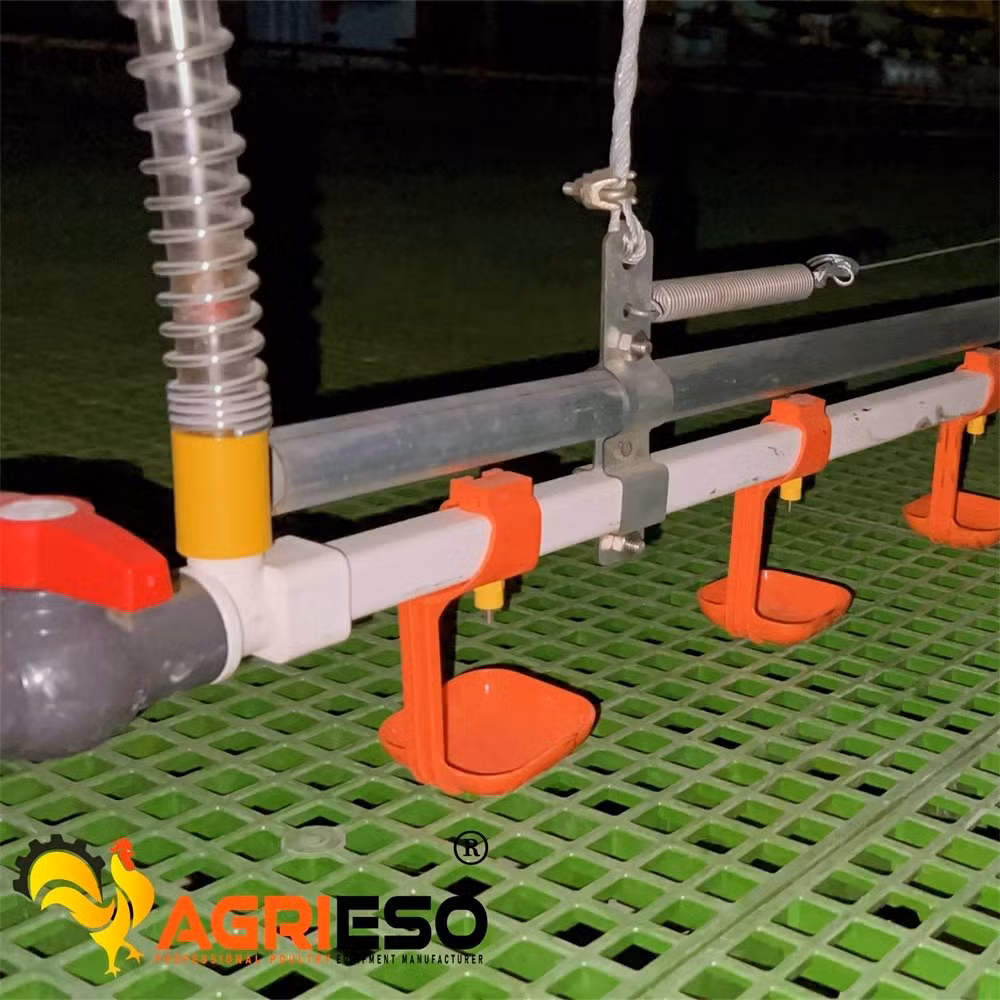 Agrieso 3 Tiers Low Carbon Steel Wire Poultry Laying Hens Chicken Battery Cage with Nipple Drinker Feed Through and Manure Belt