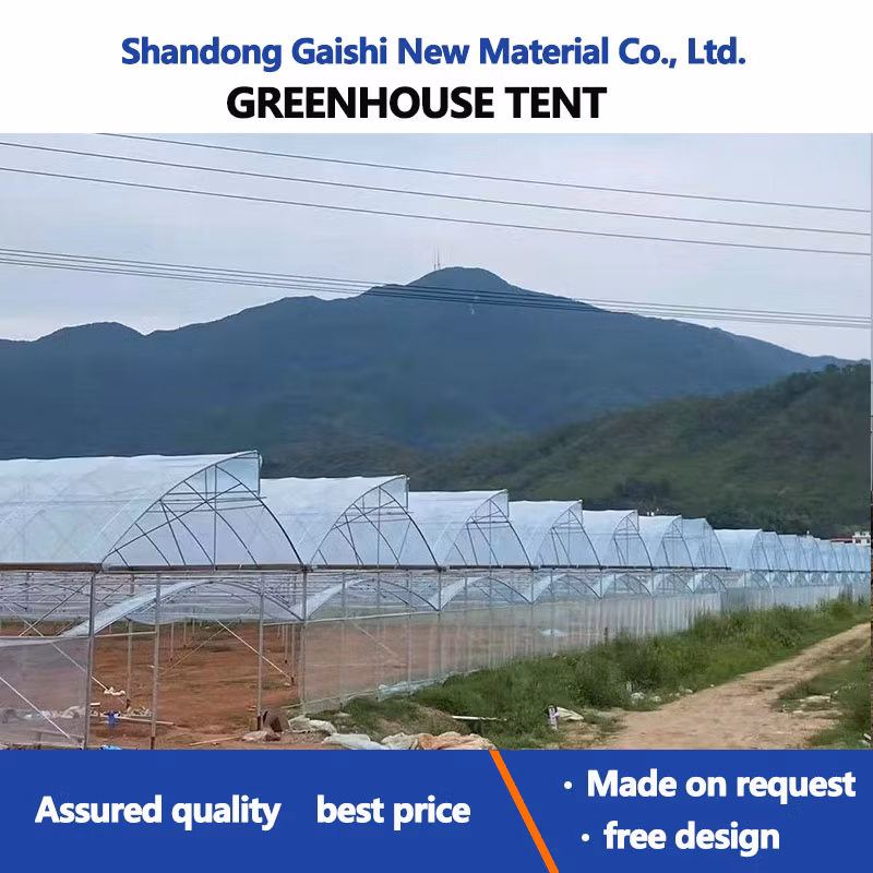 Heavy Commercial Greenhouse 4 Season for Agricultural Blueberry Strawberry Farming Tunnel Greenhouse