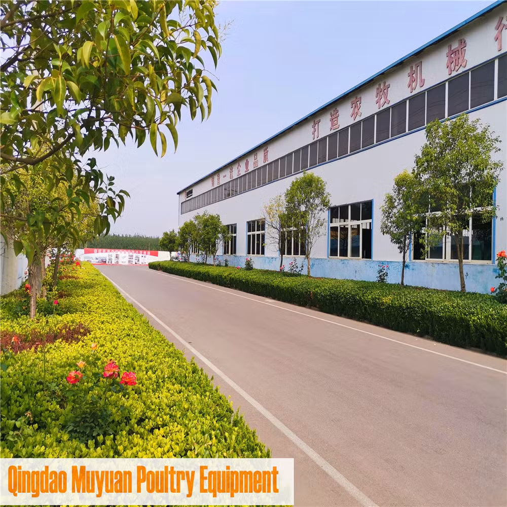 Customized Galvanized Metal Chicken Broiler Battery Cage for Poultry Farm