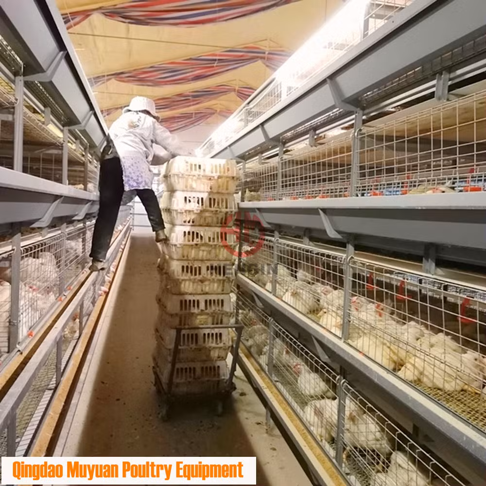 Customized Galvanized Metal Chicken Broiler Battery Cage for Poultry Farm