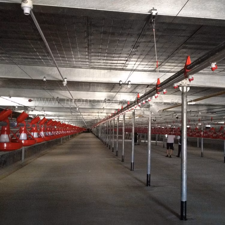Industrial Steel Structure Commercial Modular Prefabricated Poultry Farming Chicken House