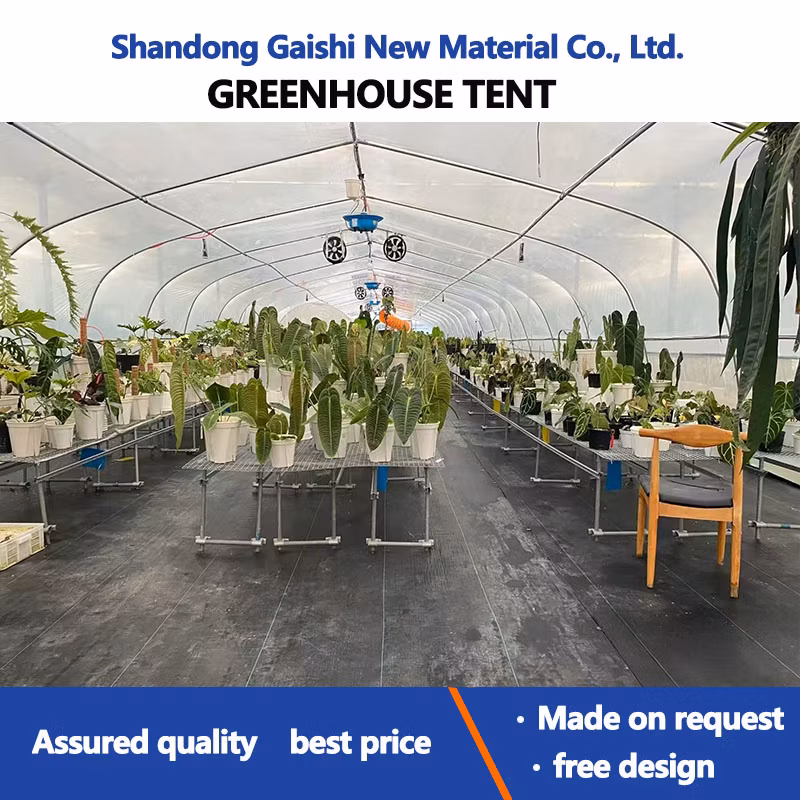 Heavy Commercial Greenhouse 4 Season for Agricultural Blueberry Strawberry Farming Tunnel Greenhouse