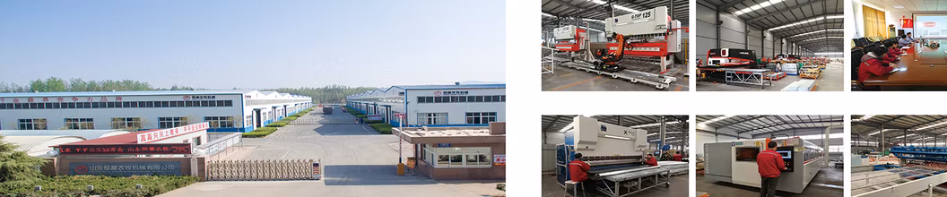 Customized Galvanized Metal Chicken Broiler Battery Cage for Poultry Farm