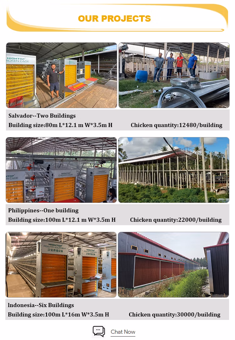 Hightop Poultry Farms Equipment 3-Tier 4-Tier A Type Automatic Galvanized Battery Layer Farm with Feeding System