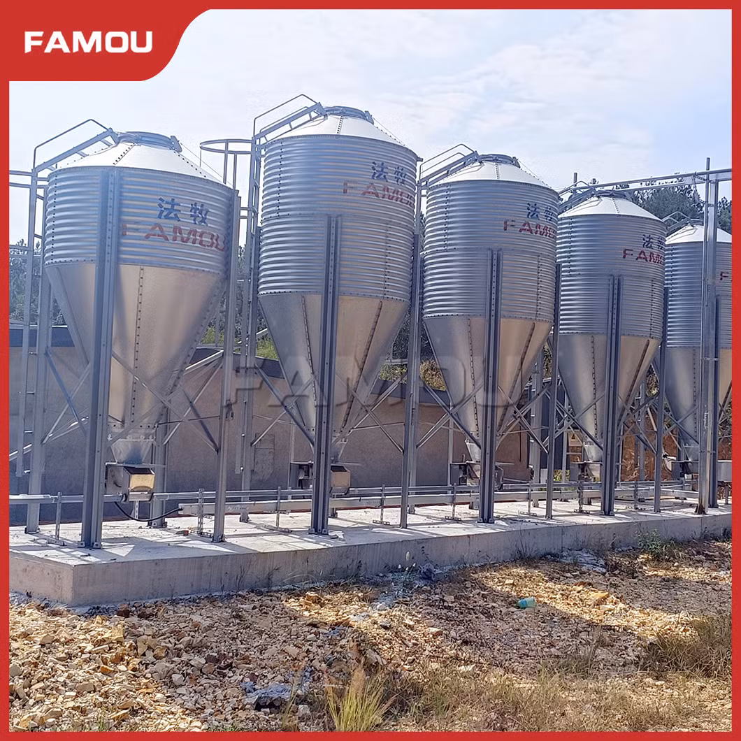 Famou Pig Cage Equipment 60mm Chain Disk Feeding System for Automatic Poultry Feeding System