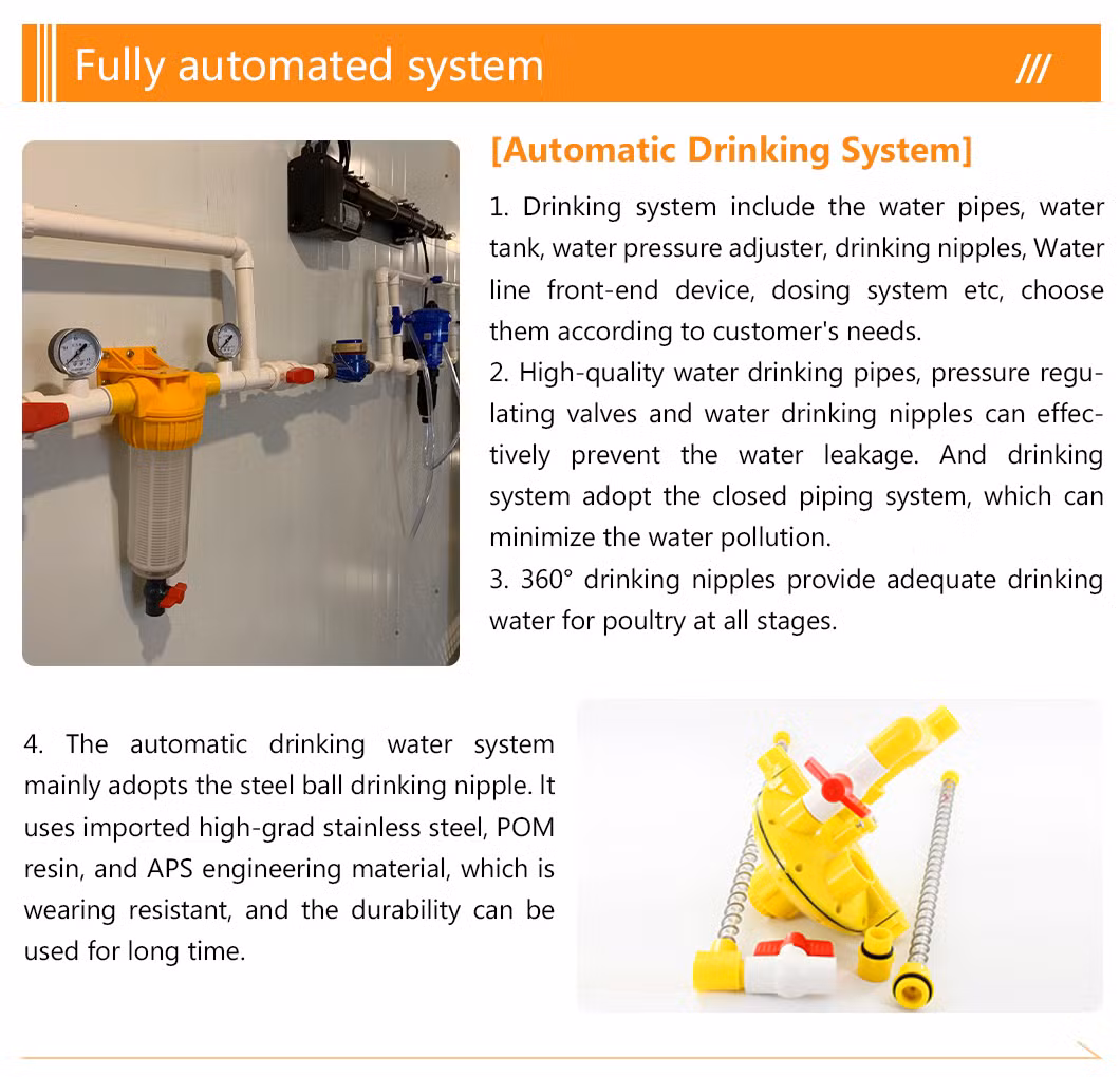 H Type Battery Layer Chicken Cages Automatic Egg Poultry Farming Equipment System