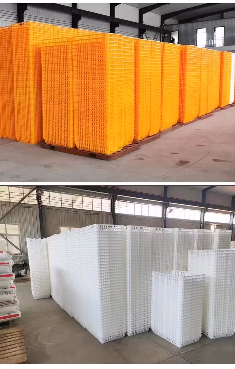 Commercial Farming Live Chicken Transport Cage Poultry Transport Crate for Sale