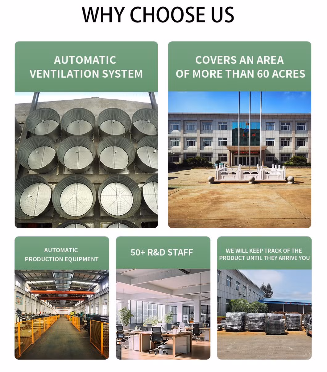 Automatic Farm Poultry Breeding Equipment Egg Chicken Cages with Feeding Systems