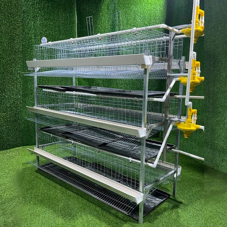 New H-Type Metal Chicken Cage Portable Plastic Birds Breeding Cage for Chicken and Layer Farms
