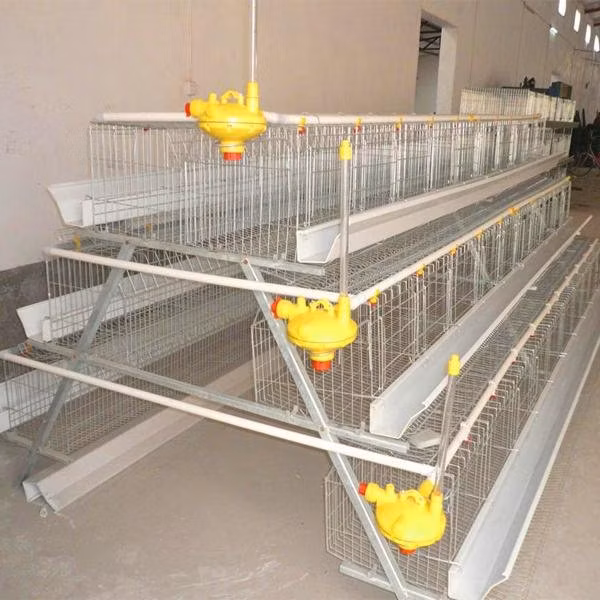 Hot Galvanized Egg Broiler Automatic Layer and Broiler Poultry Egg Farm Layer Chicken Cage