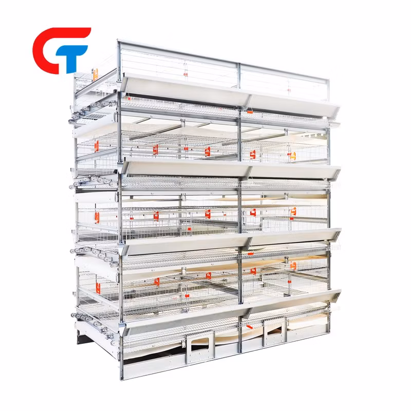 Battery Chicken Cage, Automatic Intelligent Chicken House Farming Poultry Equipment