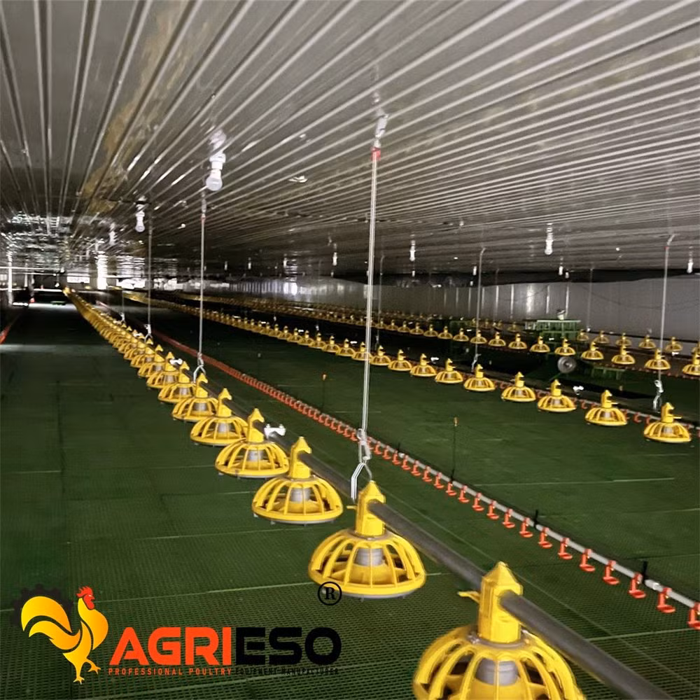 Agrieso 3 Tiers Low Carbon Steel Wire Poultry Laying Hens Chicken Battery Cage with Nipple Drinker Feed Through and Manure Belt