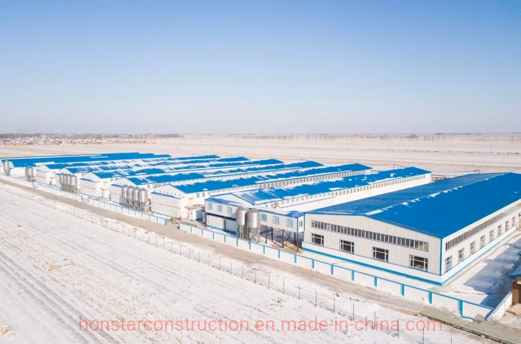 Prefabricated Engineering Building/Chicken House/Henhouse/Chicken Coop/Pheasantry /Layer Egg Chicken Cage Broiler Poultry Farm