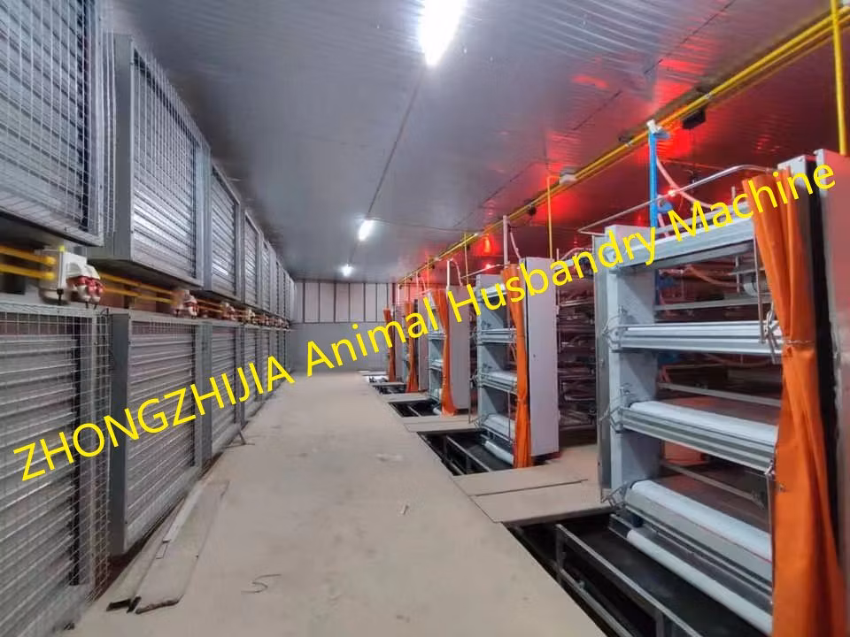 Factory Farming Equipment Chicken Cage Poultry Farm Chicken Battery Cage Broiler Battery Cage and Automatic Breeding System