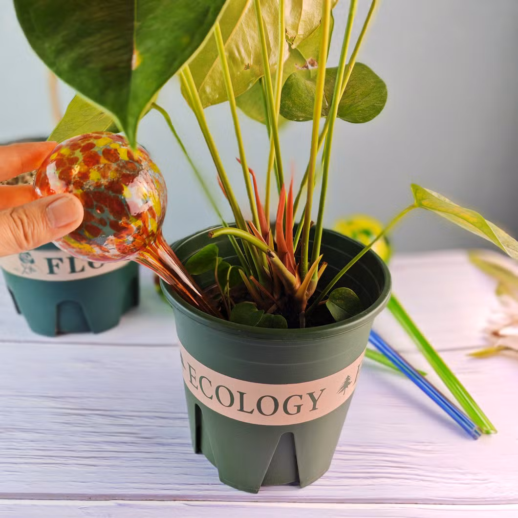 Colorful Hand Blown Glass Decorative Indoor Potted Plant Hydro/Aqua Automatic/Self Watering Flower Water Equipment
