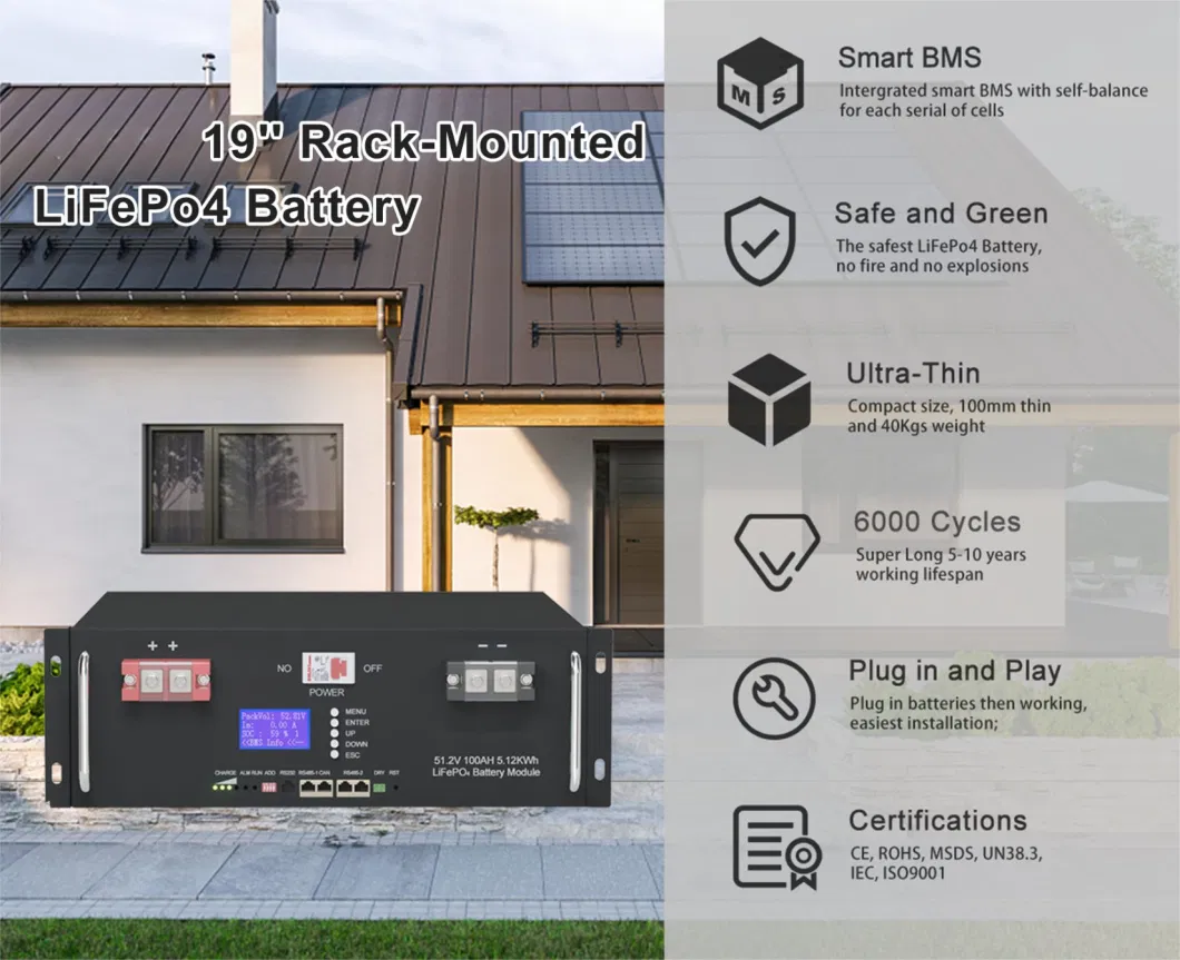 Deep Cycle Rechargeable Lithium Ion Battery LiFePO4 48V 50ah 100ah 200ah Solar Storage Battery Back