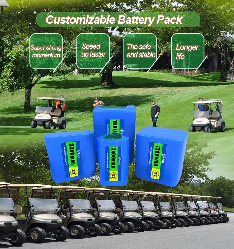 Lws Lithium Ion 12V 24V 36V 48V 72V 10ah 20ah 50ah 100ah Agv/Tricycle/Golf Cart / Kids Cars Battery Pack 3.7 V Lithium Battery Pack