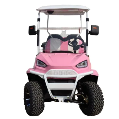 Mayorista Marca Nuevo vehículo utilitario 4 rueda 4 plazas Golf Cart 48V 72V litio Battery Club coche fuera de Road Golf Precio eléctrico del carro