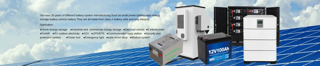 Rechargeable 12V Solar LFP LiFePO4 Li Ion Energy Storage Forklift Electric Vehicle UPS Golf Iron Phosphate Lithium Ion Battery