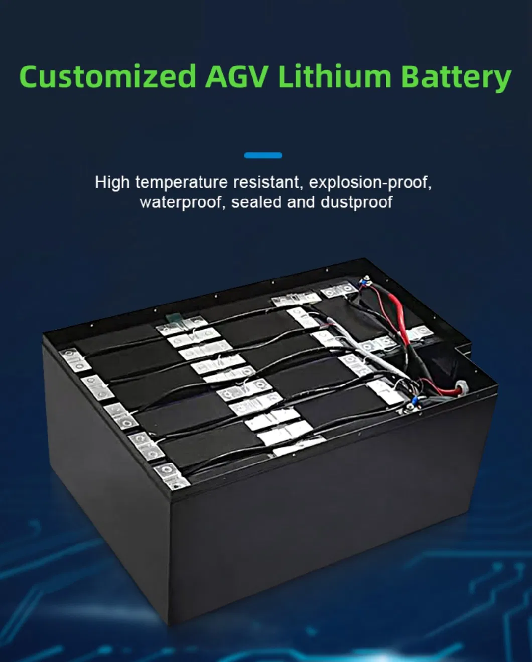 Rechargeable Lithium 51.2V 100ah LiFePO4 Battery for RV/EV/Backup/Golfcart