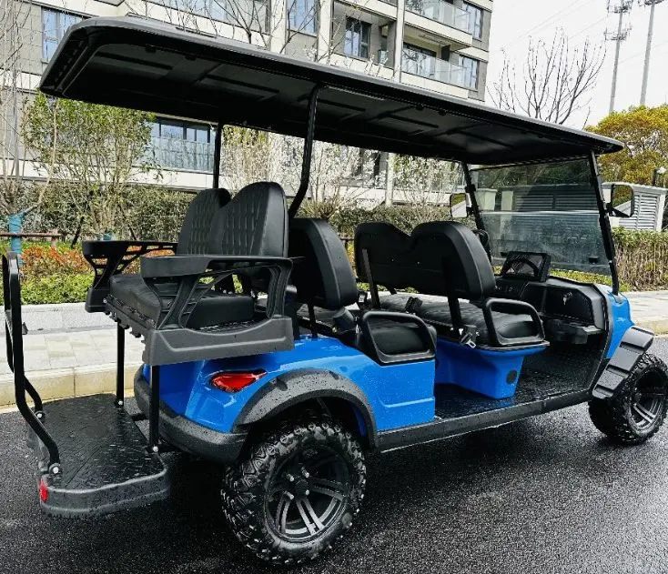 Wintao 4+2 Seater Electric Golf Cart 72V Lithium Battery Blue