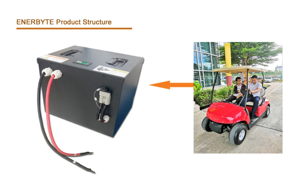 36V/48V Golf Cart LiFePO4 Battery Pack/ Li-ion Battery/Lithium Battery for Golf Cart