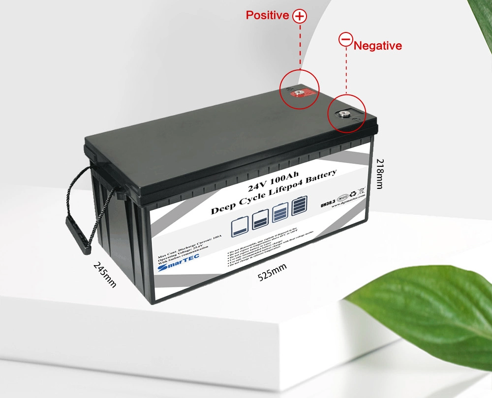 Factory Rechargeable Deep Cycle LiFePO4 Battery 24V 50ah 100ah Storage Solar Energy Battery for Solar Storage System/UPS/Golf-Cart/EV/RV/Marine/Boats