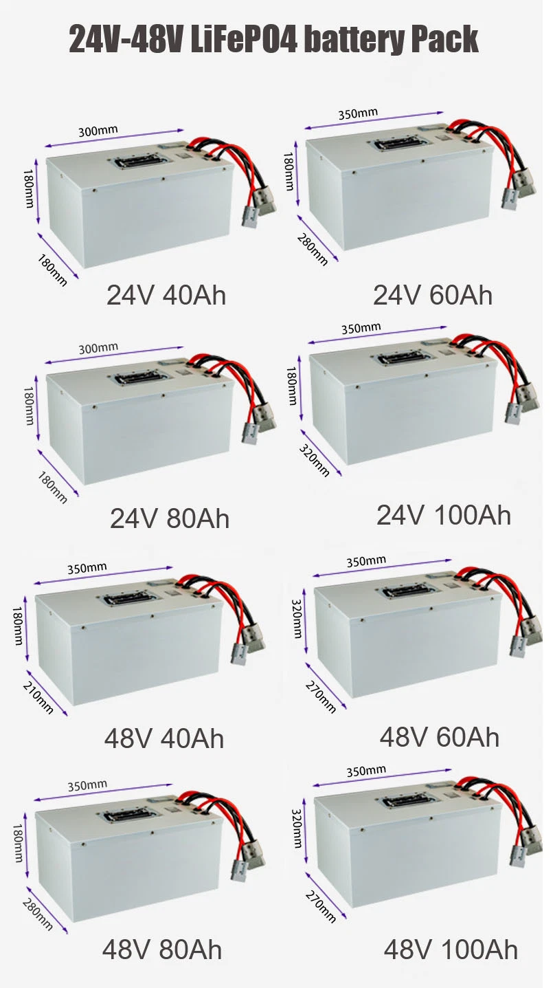 Cns China Factory Wholesale Price Li Ion LiFePO4 Lithium 48V 40ah Battery Pack for Agv