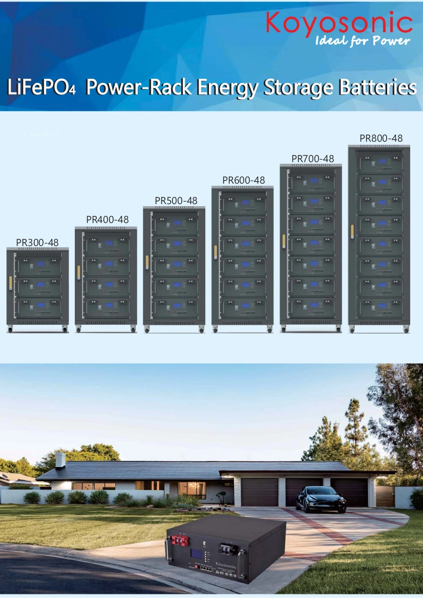 OEM 48V100ah 200ah Lithium Battery Reliable LiFePO4 Battery 2.5kwh 5kwh 10kwh 15kwh Mounted Packs Solar Lithium Ion Battery Rack for Solar Energy Storage