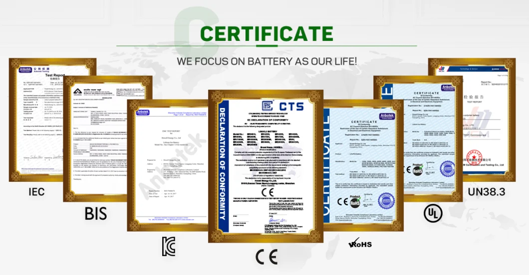 Deep Cycle 12V 200ah Lithium LiFePO4 Battery for Solar Energy Storage/Caravan/RV