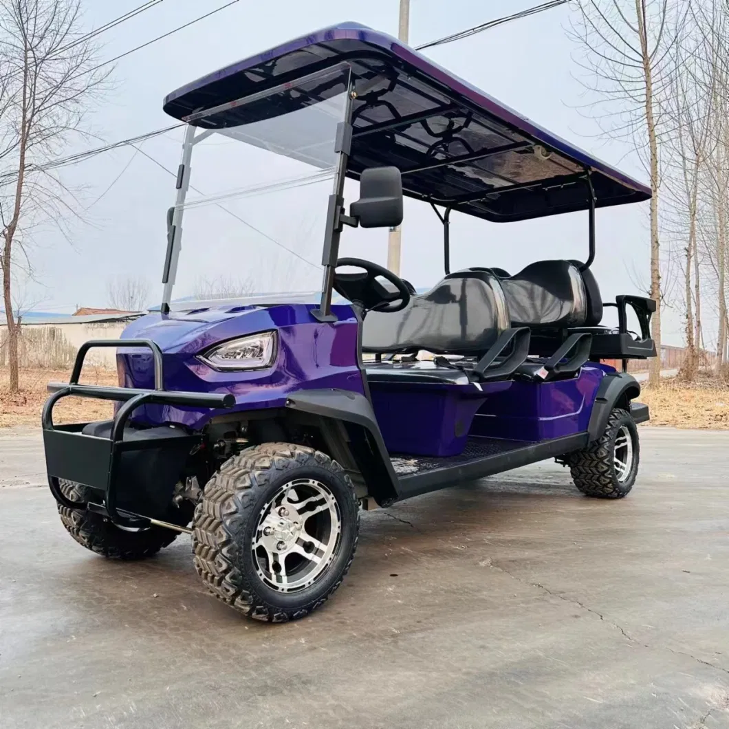 Custom 4 6 8 10 Seater Lithium Batteries Folding Electric Golf Cart 36 Volt 4X4 Golf Buggy